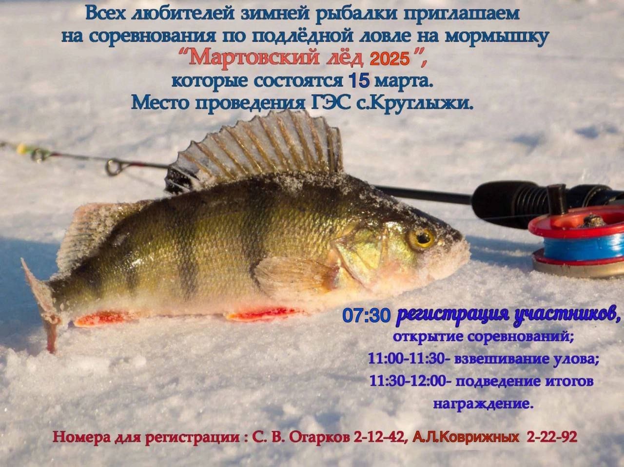 Мартовский лед 2025..