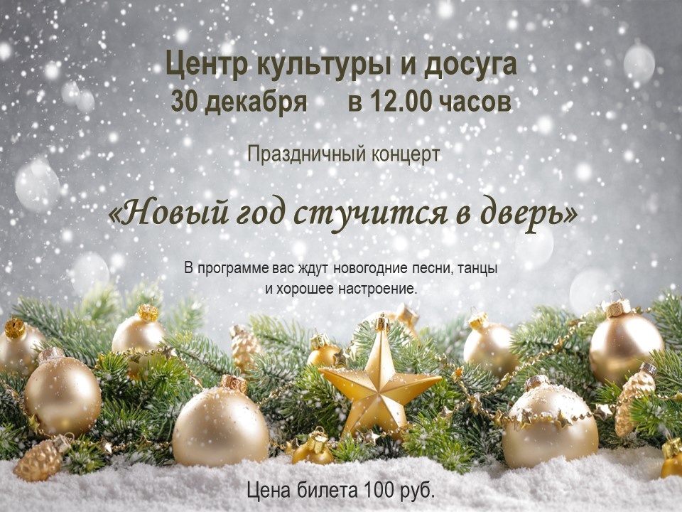 Новогодний концерт &amp;quot;Новый год стучится в дверь&amp;quot;.