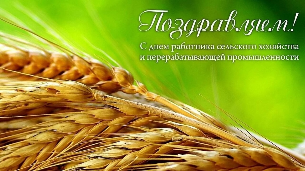 13 октября – День работника сельского хозяйства и перерабатывающей промышленности..