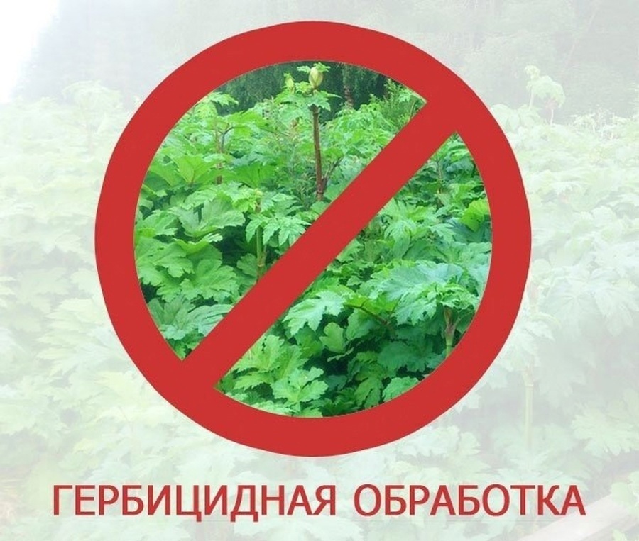 Уважаемые жители округа!.