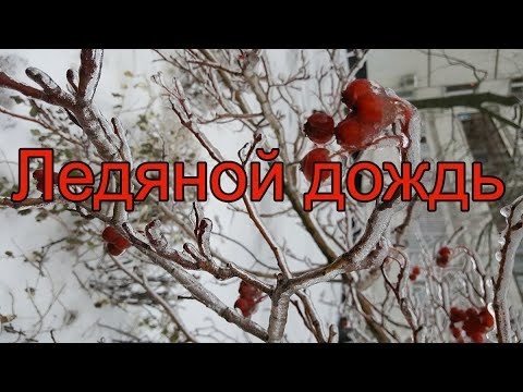 По данным Кировского ЦГМС - филиала ФГБУ &quot;ВЕРХНЕ-ВОЛЖСКОЕ УГМС&quot;:.