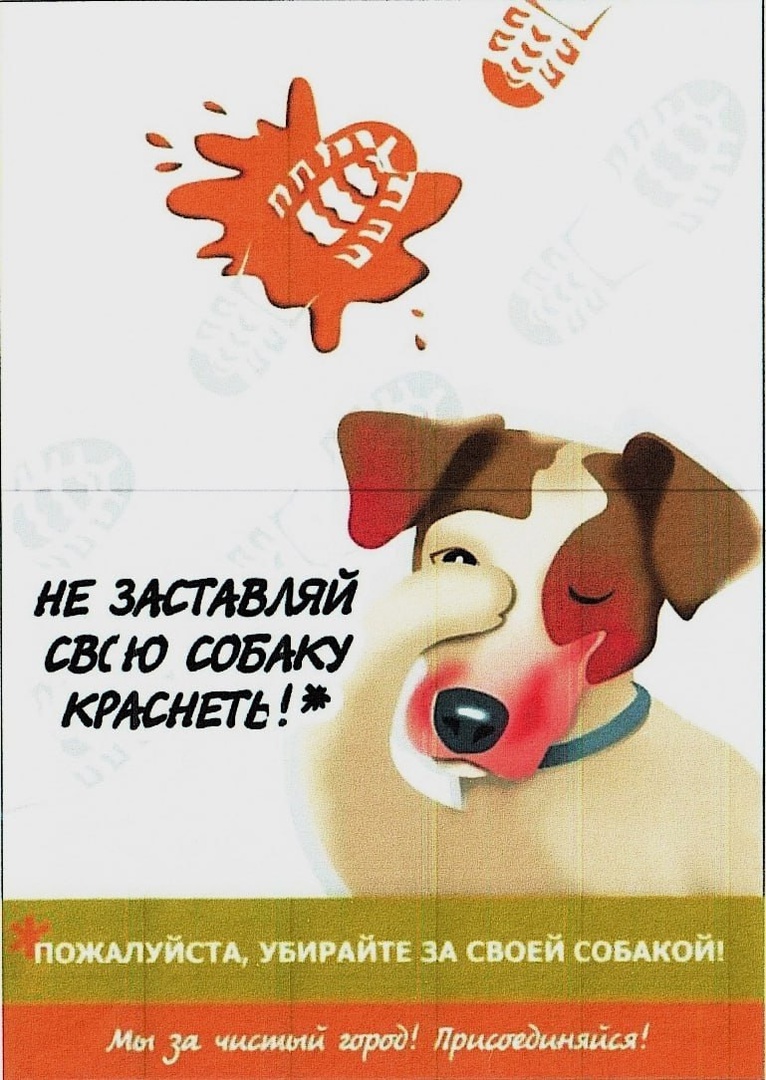 Памятка по содержанию домашних животных..