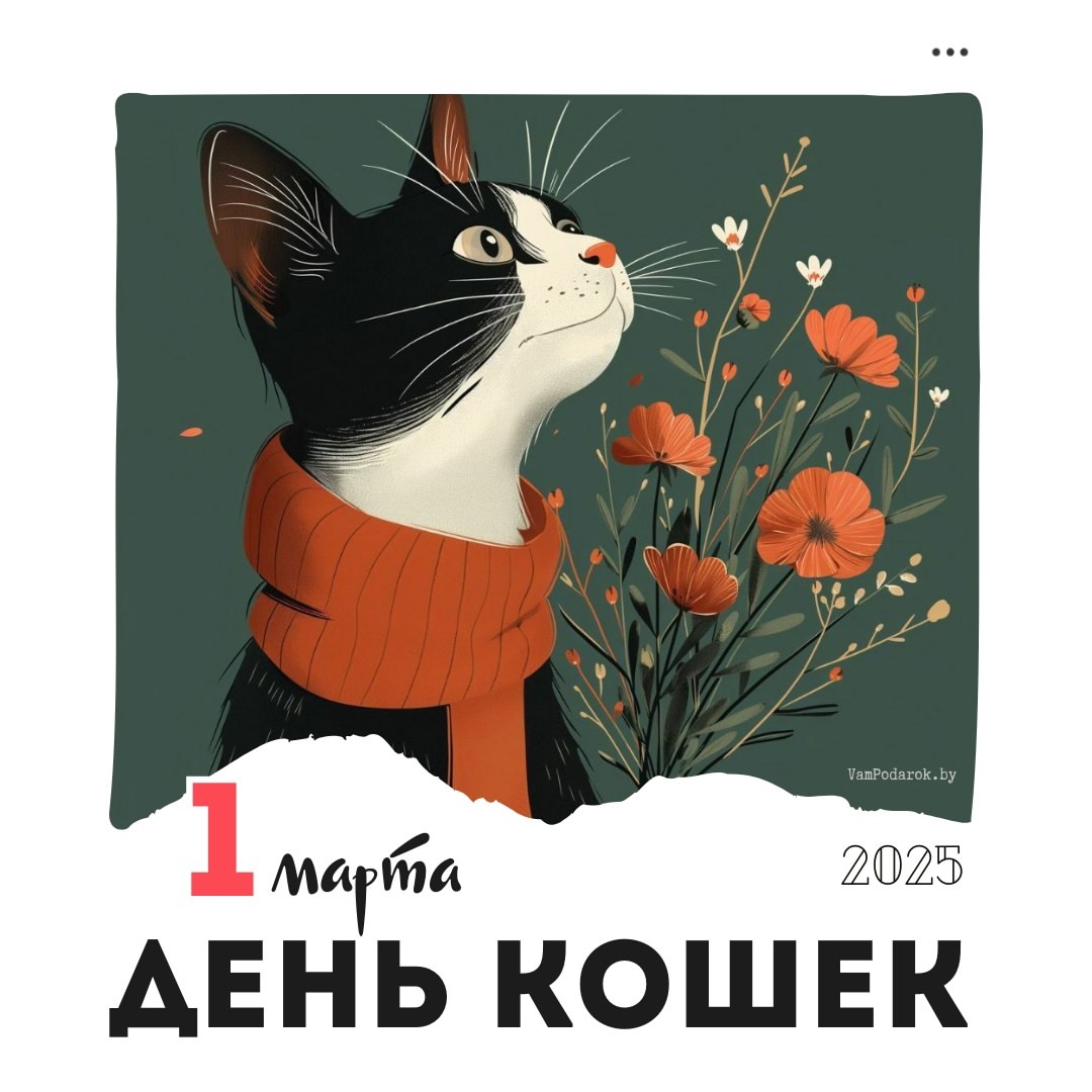 День кошек — 1 марта 🐾..