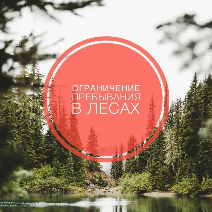 С наступлением теплой и ветреной погоды, обилием сухой растительности и отсутствием осадков, вводится ограничение пребывания граждан в лесах и въезда в них транспортных средств на территории Кировской области..