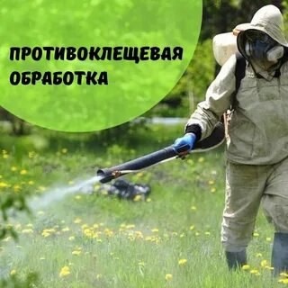 🐞 Внимание, жители Свечинского муниципального округа! 🐞  Сегодня проводится акарицидная обработка территорий! 🧹.