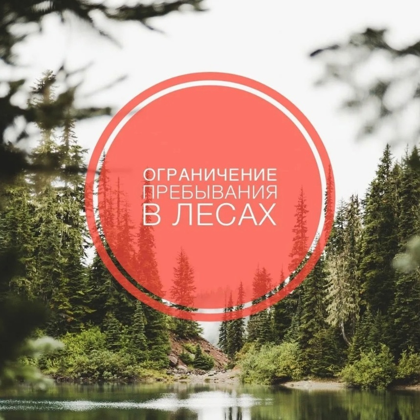 С наступлением теплой и ветреной погоды, обилием сухой растительности и отсутствием осадков вводится ограничение пребывания граждан в лесах и въезда в них транспортных средств на территории Кировской области..