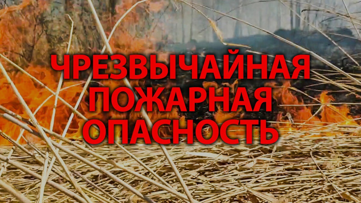 По данным Кировского ЦГМС - филиала ФГБУ &quot;ВЕРХНЕ-ВОЛЖСКОЕ УГМС&quot; на территории Кировской области:.