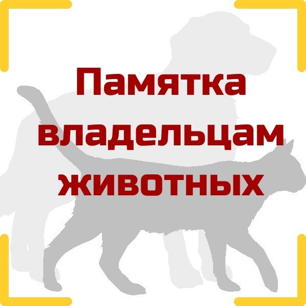 Памятка для владельцев домашних животных..