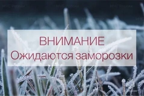 По данным Кировского ЦГМС - филиала ФГБУ &quot;ВЕРХНЕ-ВОЛЖСКОЕ УГМС&quot; на территории Кировской области:.