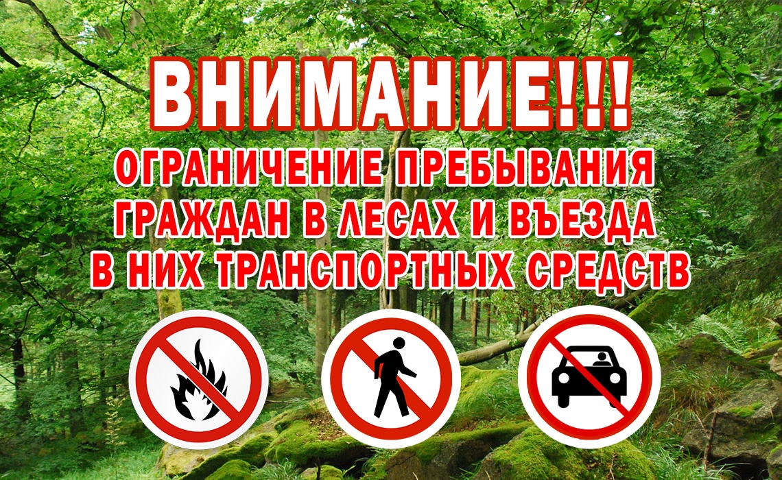 С наступлением жаркой погоды и отсутствием осадков вводится ограничение пребывания граждан в лесах и въезда в них транспортных средств на территории Кировской области..