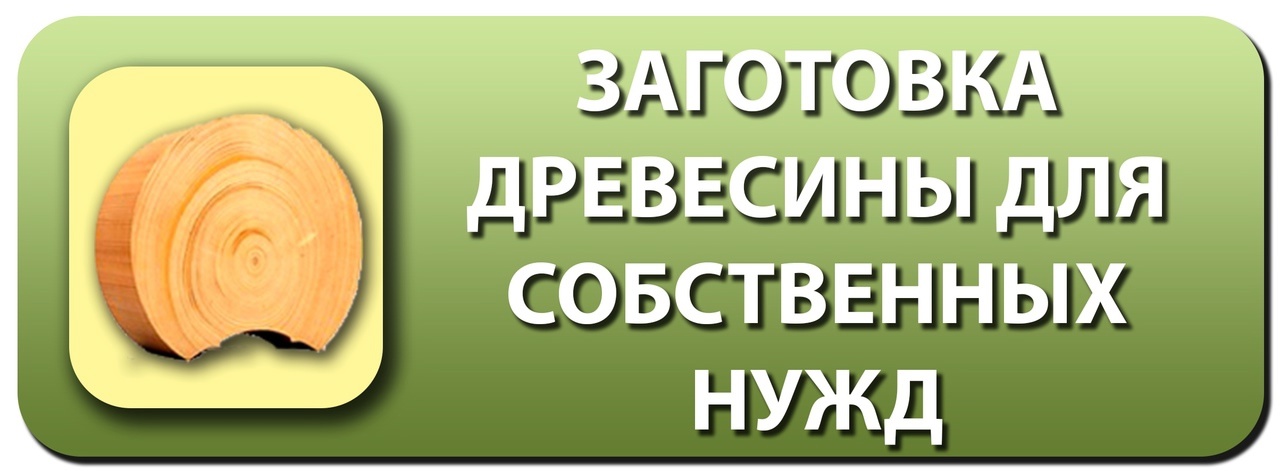 О запрете на отчуждение древесины, заготовленной гражданами для собственных нужд..