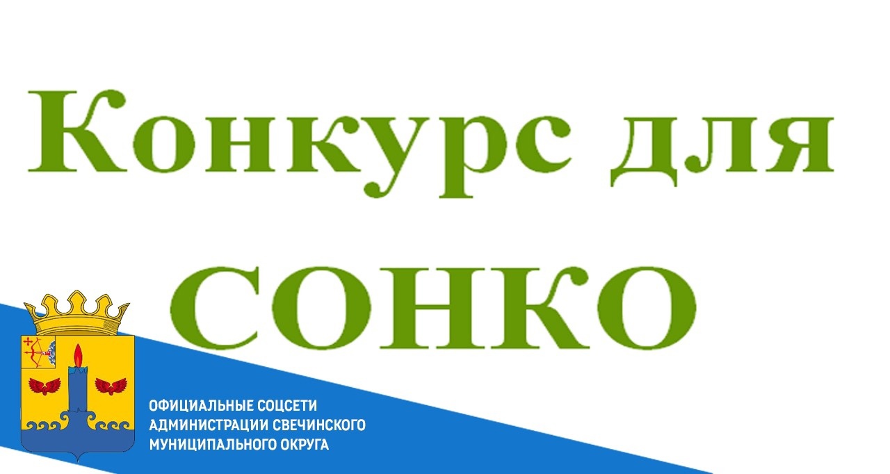 Внимание! Стартовал приём заявок на региональный грантовый конкурс 2024 года для СОНКО Кировской области!.