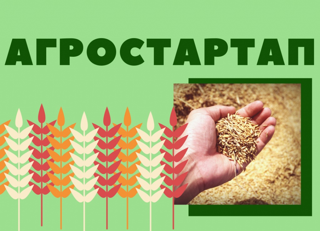 О проведении конкурса по отбору заявителей для предоставления грантов «Агростартап»..