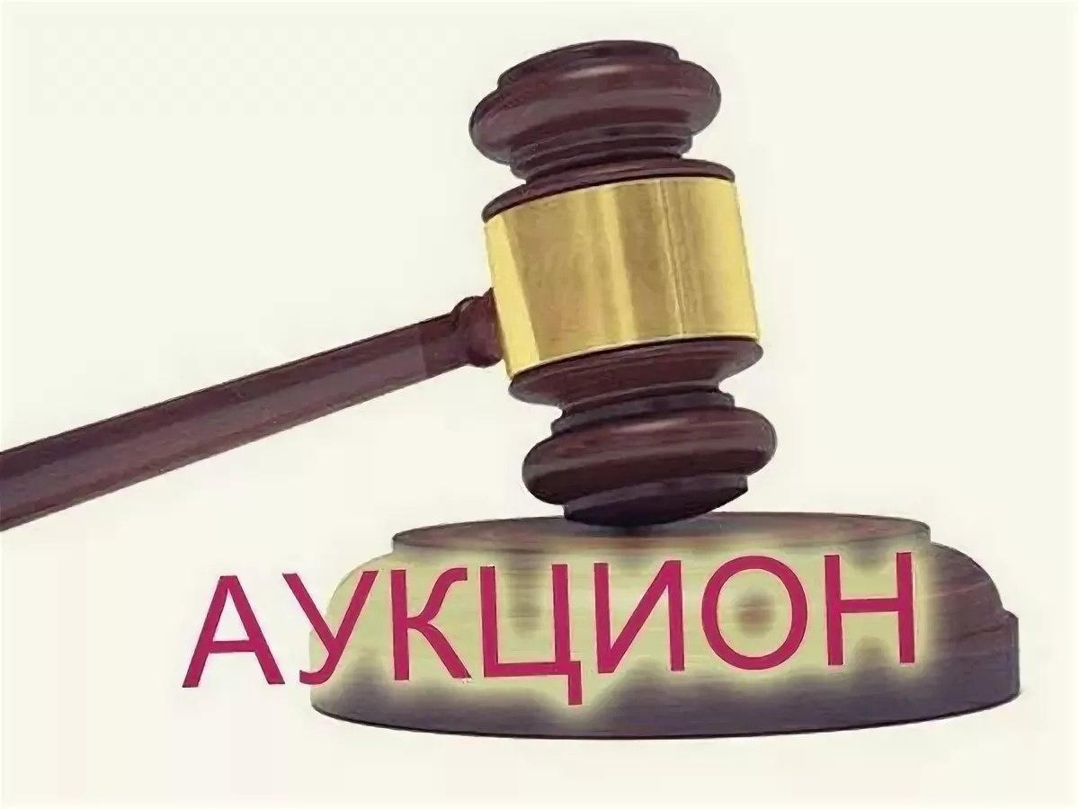 Министерство лесного хозяйства продолжает проведение аукционов на право заключения договоров купли-продажи лесных насаждений для субъектов малого и среднего предпринимательства в электронной форме..