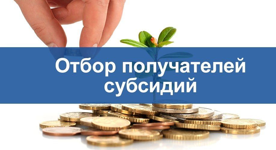 Объявление об отборе для предоставления субсидии из местного бюджета..