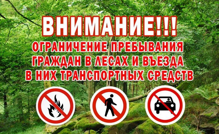 С наступлением жаркой погоды и отсутствием осадков вводится ограничение пребывания граждан в лесах и въезда в них транспортных средств на территории Кировской области.. С наступлением жаркой погоды и отсутствием осадков вводится ограничение пребывания граждан в лесах и въезда в них транспортных средств на территории Кировской области..