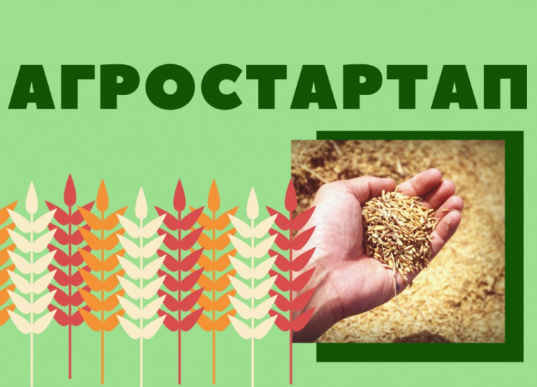 О проведении конкурса по отбору заявителей для предоставления грантов «Агростартап».. О проведении конкурса по отбору заявителей для предоставления грантов «Агростартап»..
