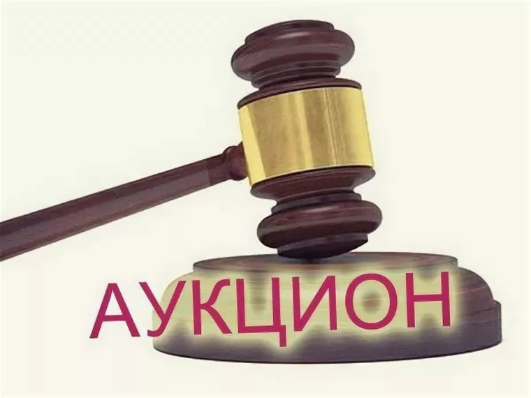 Министерство лесного хозяйства продолжает проведение аукционов на право заключения договоров купли-продажи лесных насаждений для субъектов малого и среднего предпринимательства в электронной форме.. Министерство лесного хозяйства продолжает проведение аукционов на право заключения договоров купли-продажи лесных насаждений для субъектов малого и среднего предпринимательства в электронной форме..