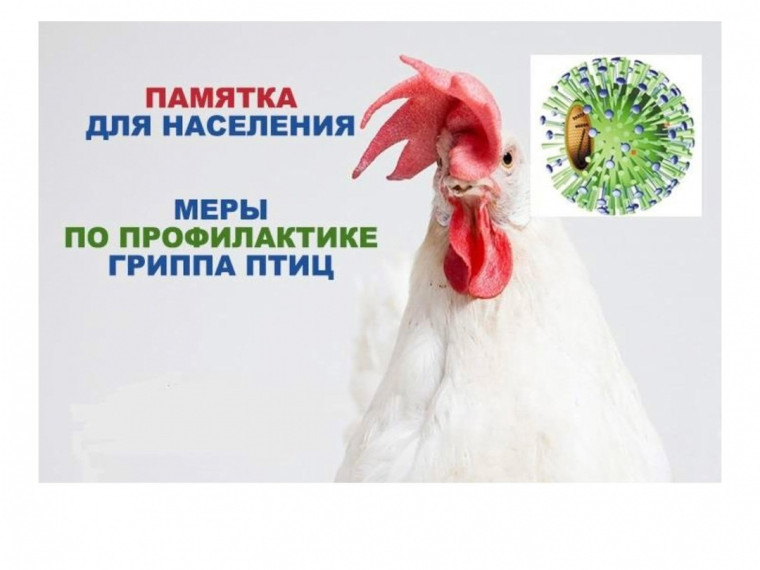 Уважаемые жители округа!. Уважаемые жители округа!.