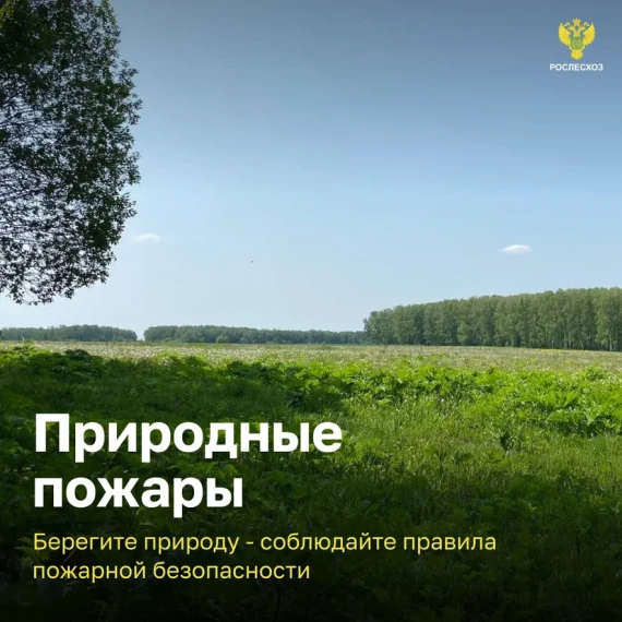 Администрация Свечинского муниципального округа информирует о том, что с 15.03.2024 по 30.09.2024 пройдет федеральная информационная противопожарная кампания «Останови огонь!».. Администрация Свечинского муниципального округа информирует о том, что с 15.03.2024 по 30.09.2024 пройдет федеральная информационная противопожарная кампания «Останови огонь!»..